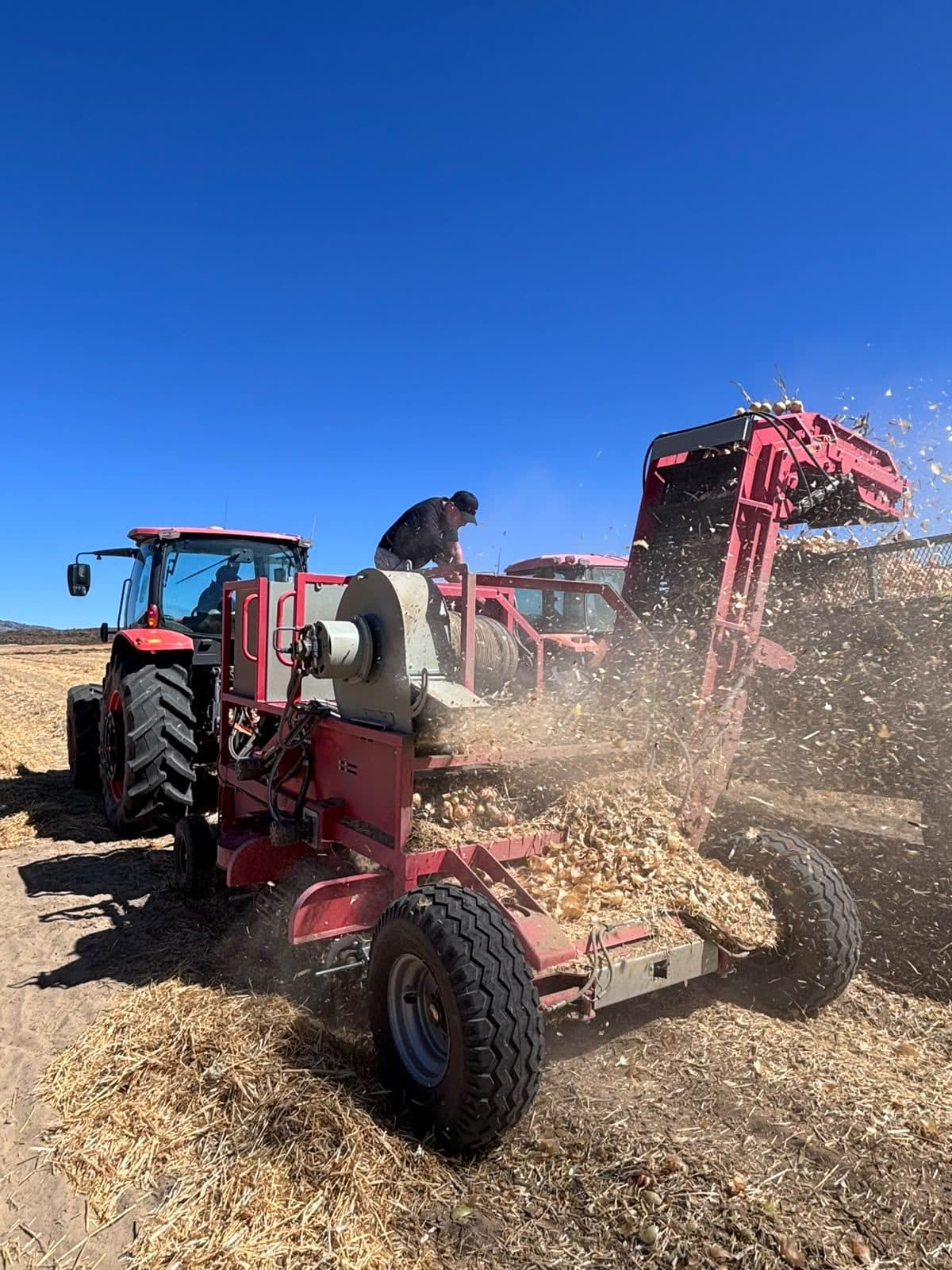 Red Ant onion harvester working behind a tractor