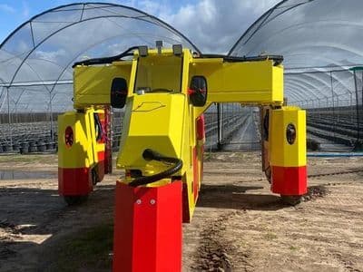 Red Ant blueberry sprayer