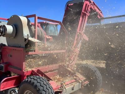 Red Ant onion harvester in the field